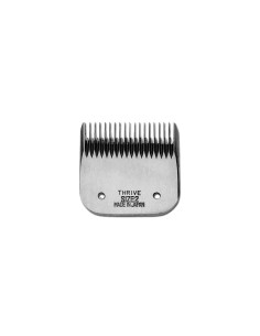 Thrive Testina MM 6 - 2