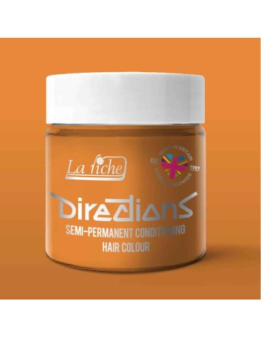 Le Riche Directions Hair Color 19 apricot 100 ml