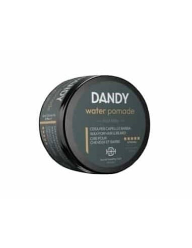 Lisap Dandy Water Pomade Cera per capelli e barba 100 ml