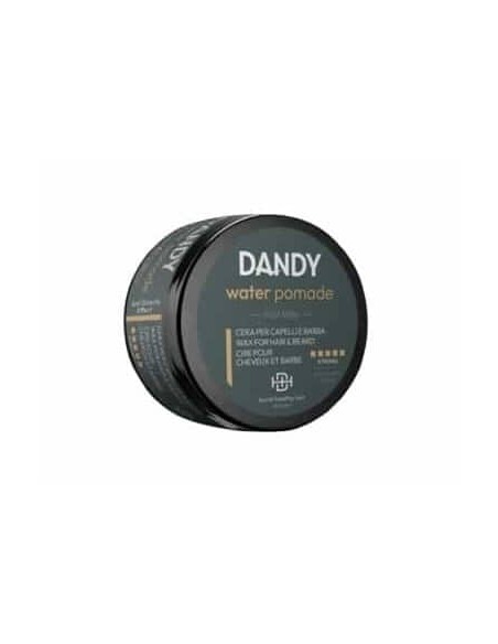 Lisap Dandy Water Pomade Cera per capelli e barba 100 ml