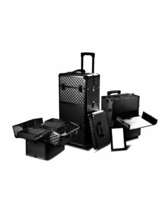 Trolley grande in alluminio 25X37XH75 nero