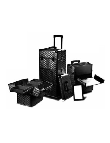 Trolley grande in alluminio 25X37XH75 nero