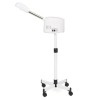 Sibel Aster Vaporizzatore viso professionale agli ioni