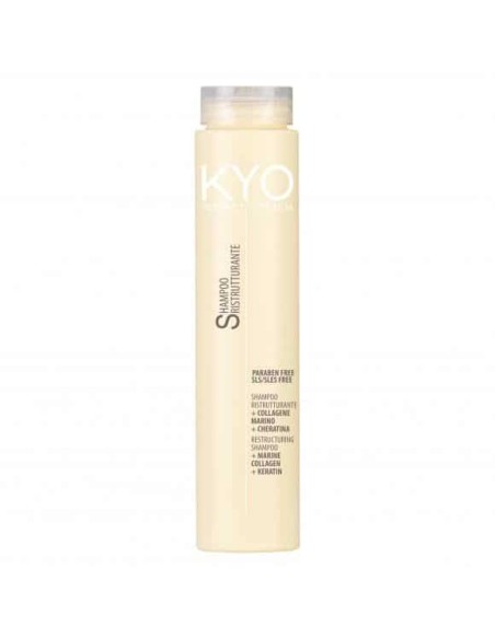 Kyo Shampoo ristrutturante restructsystem 250 ml