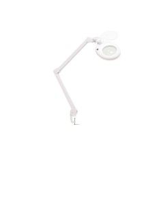 Weelko Lampada Led a Luce fredda a cinque diottrie "magni"