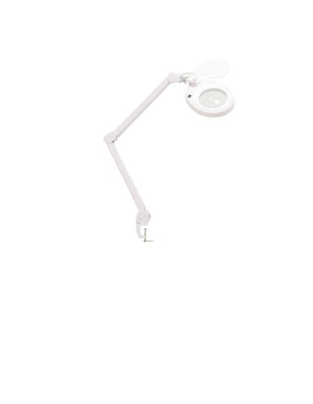 Weelko Lampada Led a Luce fredda a cinque diottrie "magni"