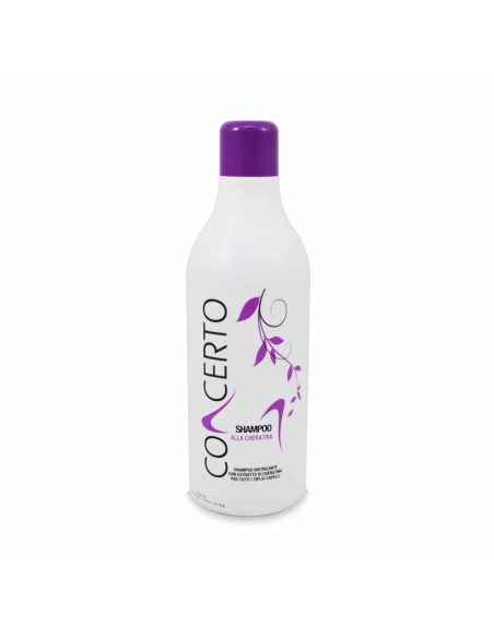 Punti di Vista Concerto Shampoo alla cheratina 1000 ml