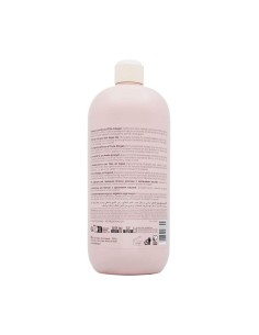 Inebrya Ice Cream Argan age pro shampoo lucentezza 1000 ml 2