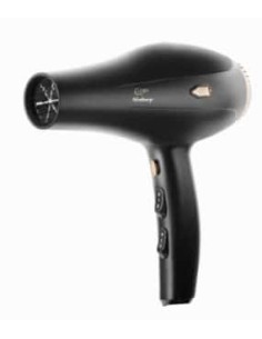 Goby Phon professionale bishop 2000 W