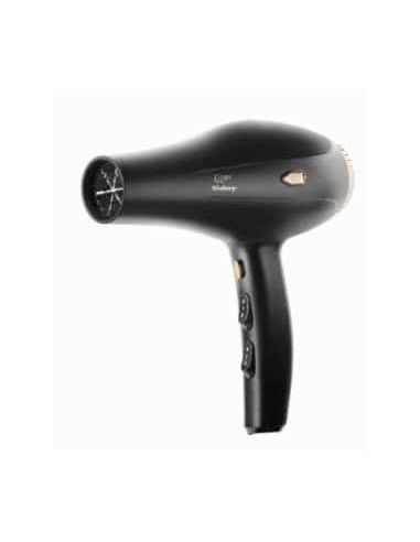 Goby Phon professionale bishop 2000 W