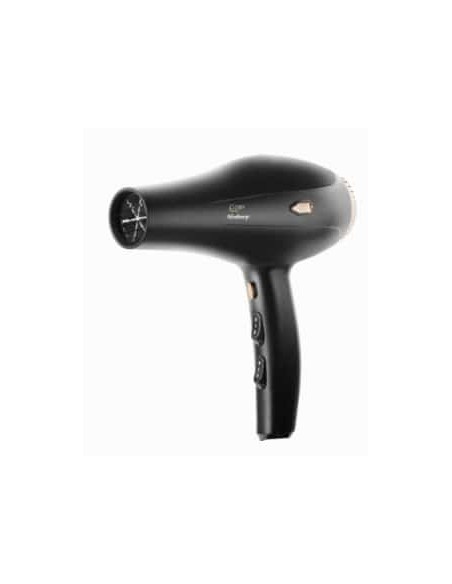 Goby Phon professionale bishop 2000 W